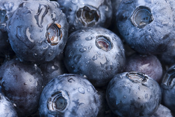 Closeup of fresh blueberries
