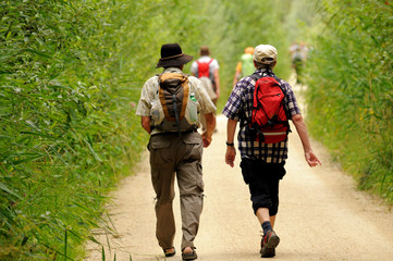 wandern im herbst