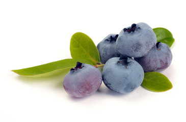blueberry and green leaves