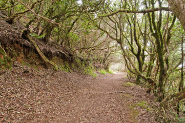 camino