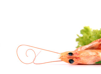 Shrimps salad close-up