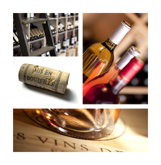 Vin, bouteille, raisin, vigne, œnologie, boisson, chai, cave