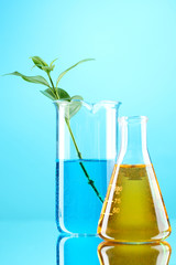 test tube with plants on blue background