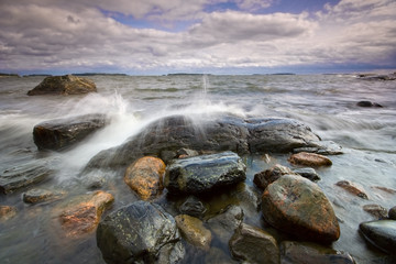 Forenoon landscape in the besch