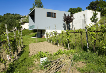 Fototapeta na wymiar modern house in exterior, beton design