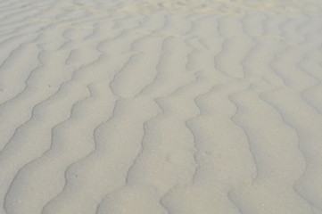 sand dunes