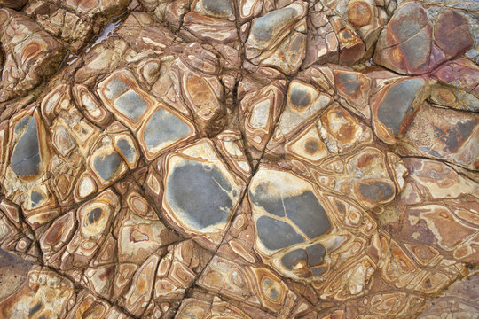 Tidal Pool Texture