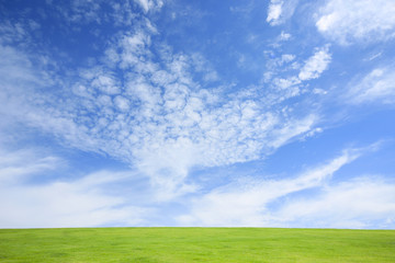 Fototapeta na wymiar Użytki zielone i niebieskie niebo