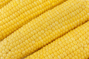Three ears of corn. Corn background.