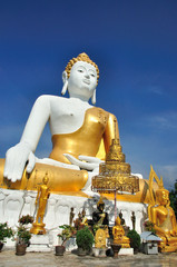 Buddha in thai temple