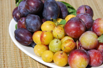 Pflaumen Mirabellen Reineclaude