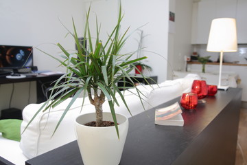Apartment interior