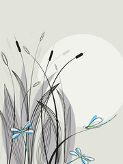 dragonfly