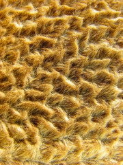 Brown fabric texture