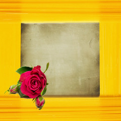 Pasta im Quadrat mit Rose
