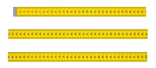 Ruler