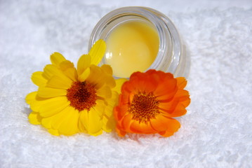 Ringelblumensalbe (Calendula )Herstellung Naturkosmetik