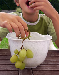 Grapes eating