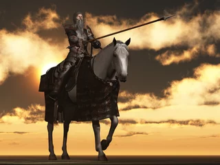 Photo sur Aluminium Chevaliers Don Quichotte en armure rouillée sur un chargeur aux puces