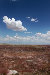 View of Painted Desert on Route 66