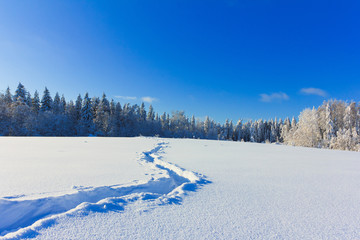 Obraz premium Midwinter Fairytale