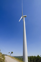 Fototapeta na wymiar Turbina wiatrowa