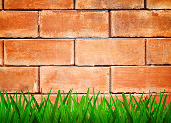 Green grass and old brickwall