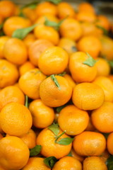 Fresh tangerines