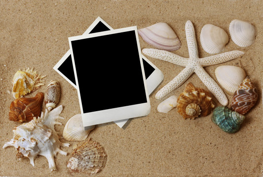 shells with sand and paper