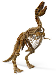 t-rex skeleton © DM7