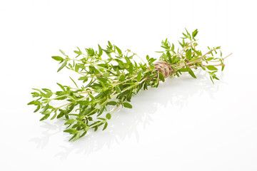 Thyme bunch isolated.