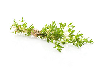 Thyme isolated.