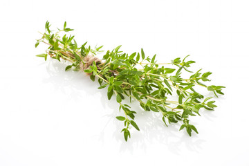 Thyme isolated.