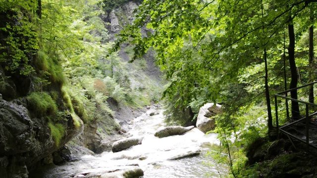 starzlachklamm bayern bergbach