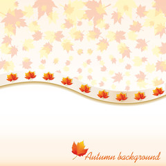Autumn background with maple leaves, vector illustration