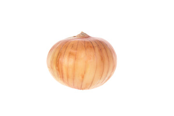 onion. isolated