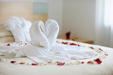 Fototapeta na wymiar Towel swans left by a hotel room service