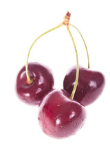 three cherries