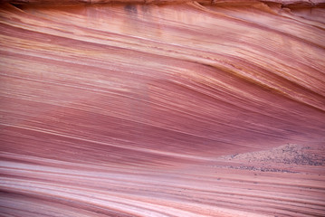 The Wave detail, Paria canyon, Arizona