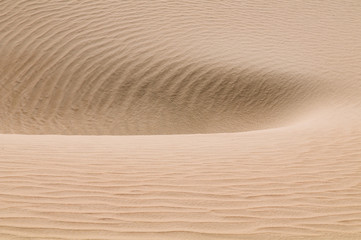 Fototapeta na wymiar Sandy background. A part of rippled dune.