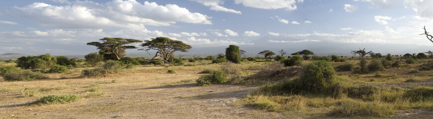 African savannah
