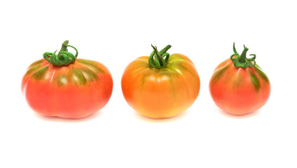 three tomatoes on white background