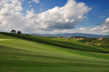 Summer Landscape. Škalce, Slovenia