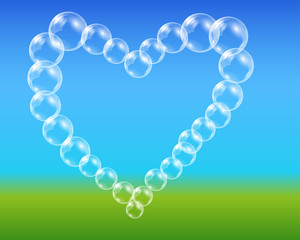 Beautiful summer meadow