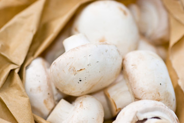 Mushrooms
