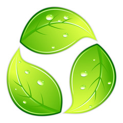 Leafy Recycle Symbol