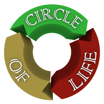 Circle of Life Arrows in Circular Cycle Showing Connections