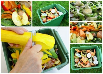 Déchets ménagers pour compost