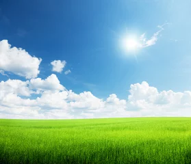  grass and perfect sky © Iakov Kalinin