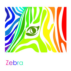 zebra